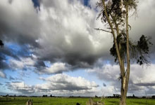 无声攻势！两队实力对决在即，胜利之路曲折