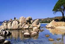 无声攻势！两队实力对决在即，胜利之路曲折