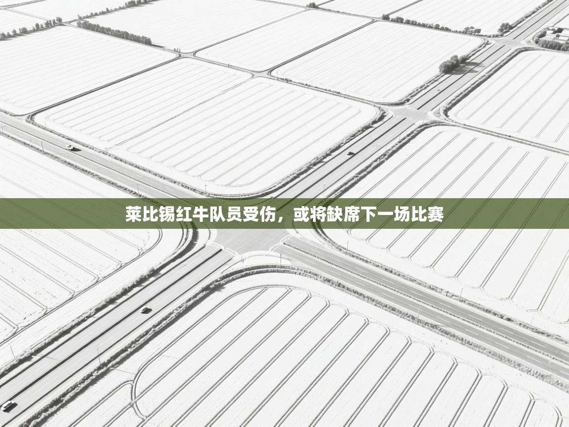 莱比锡红牛队员受伤，或将缺席下一场比赛