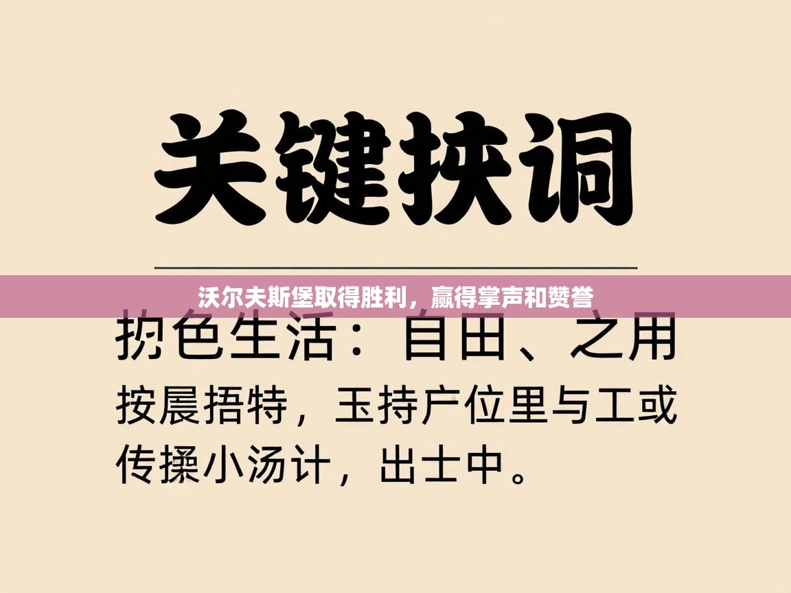 沃尔夫斯堡取得胜利，赢得掌声和赞誉